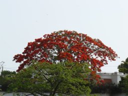 270513_10150256141229901_4216386_n